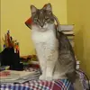 Отзыв от Серафима Кочеткова